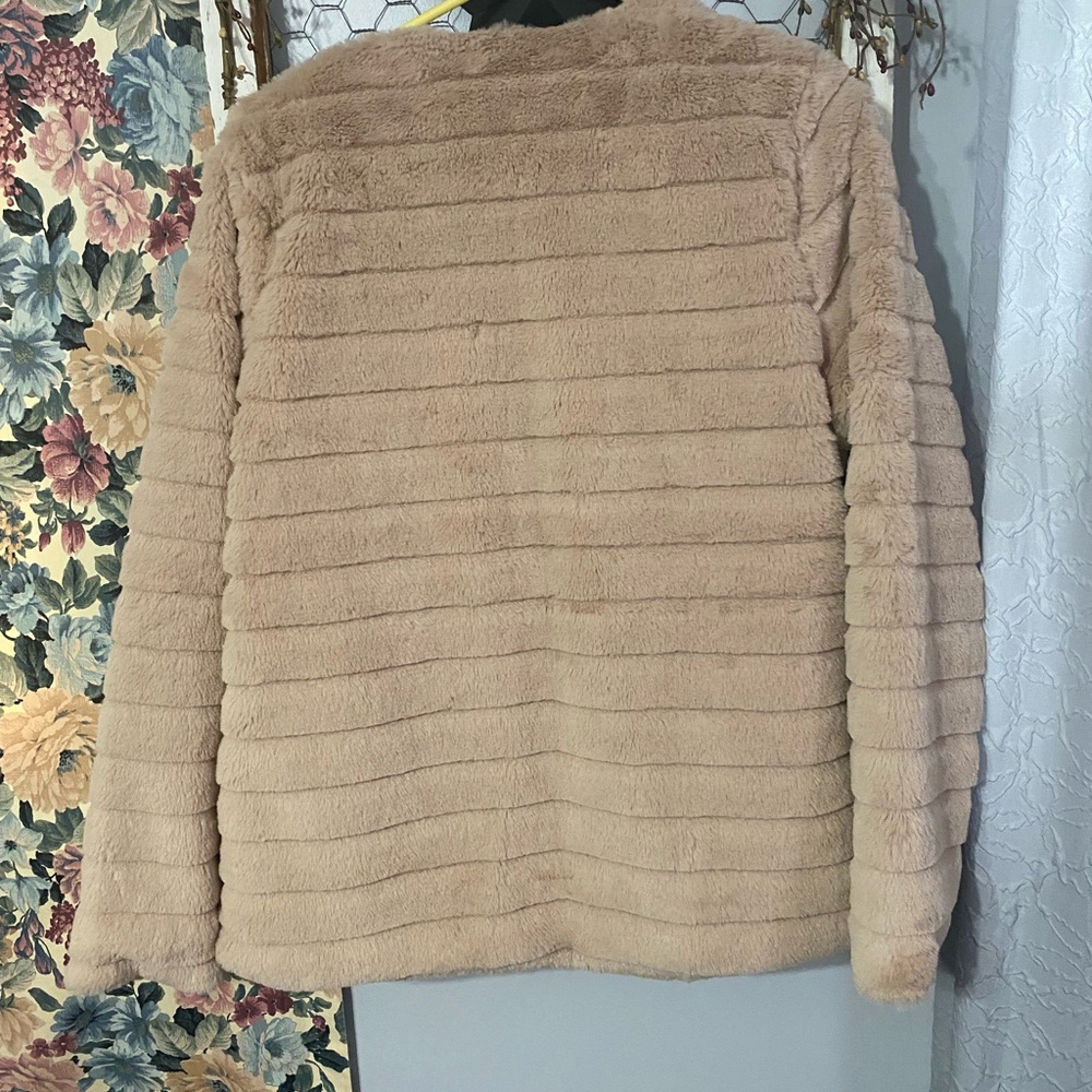 Jacket - Picture 3 of 5